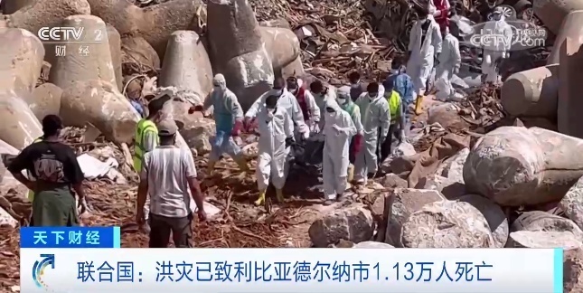 捕鱼厅网址多少